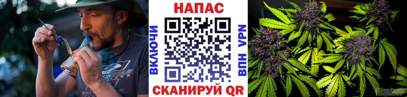 МАРИХУАНА семена  Купить  Вязьма 